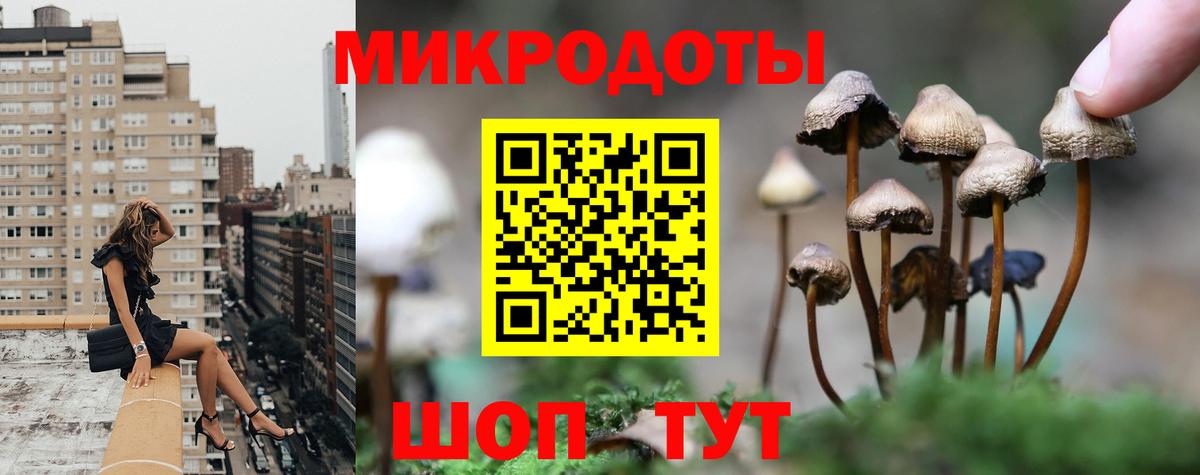 Старая Купавна  Псилоцибиновые грибы прущие грибы  Вход с VPN 